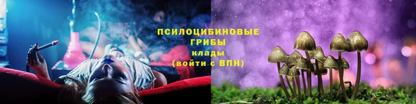 тгк Алзамай
