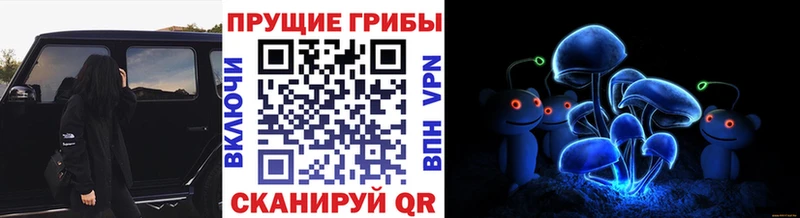Псилоцибиновые грибы GOLDEN TEACHER  hydra как зайти  Асино  купить наркотики цена 